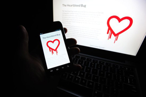 OR: Heartbleed Bug to disrupt internet over coming weeks