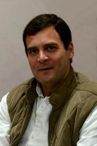 'Rahul not responsible for Cong defeat in LS polls'