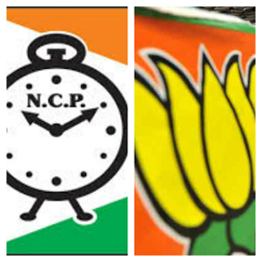 BJP focuses on govt formation, NCP offers support in Maha