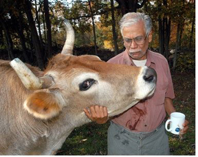 Shankar Shastri, the Sanctuary head, tending his cow
