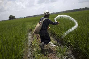 'Govt focussed on economic welfare of farmers, poor'