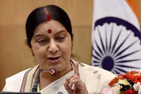 india-to-provide-help-on-boys-mothers-request-in-norway-eam