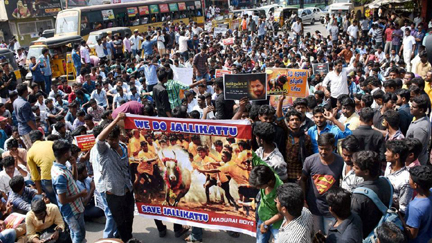 tamil-lawyers-students-protest-against-jallikattu-ban