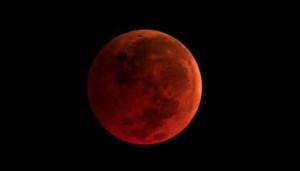 Moon eclipse enthralls visitors at Desert Festival