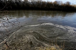 Pollution found in North Carolina River