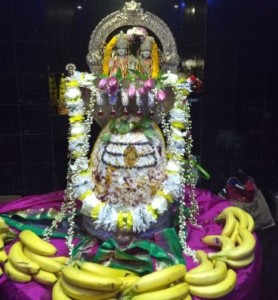 Shiva Lingam in Basma Alankaram