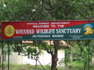 Wayanad Wildlife sanctuary