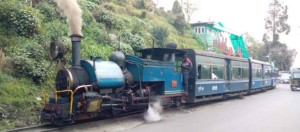 Darjeelings toy train