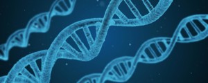 FDA clears DNA test to spot cancer genes