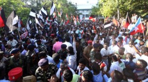 Cauvery issue Pro Tamil activist show PM Modi black flags