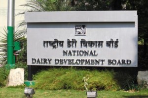 NDDB concern over dairy sector glut