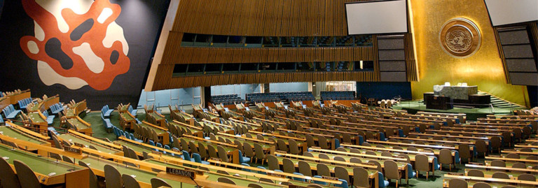 UN General Assembly