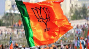 Big win for BJP in Sangli civic polls