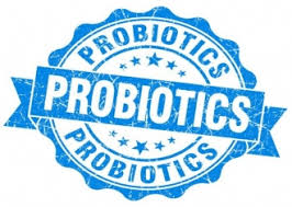 ‘Overuse of probiotics may cause bloating brain fogginess’