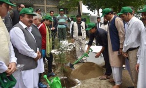 Prime Minister Imran Khan planting a sapling at the launch of 10 Billion Tree Tsunami