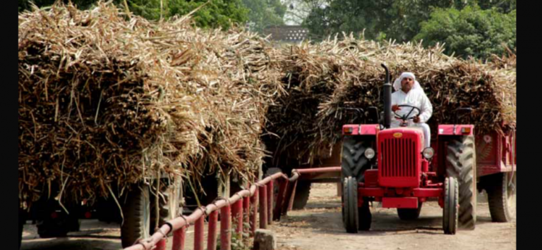 Australia takes India to WTO over sugar subsidies
