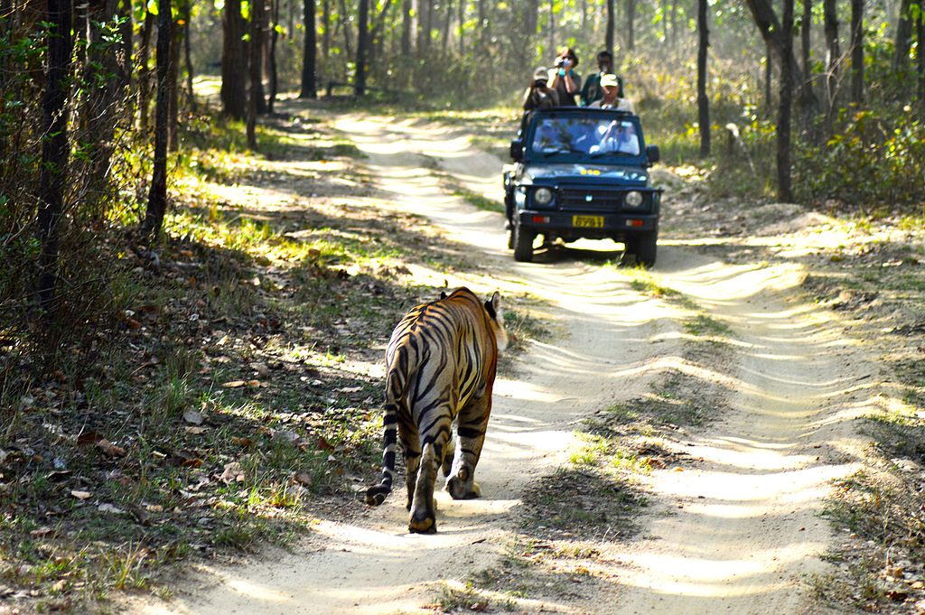 Manas Tiger Reserve3