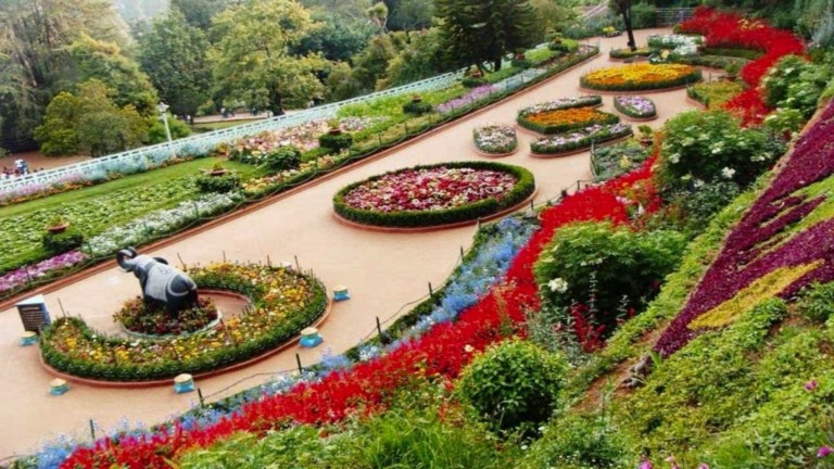 Ooty Rose Gardens