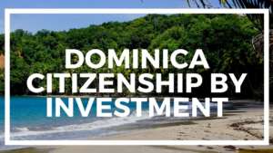 Investment in real estate of Dominica - Peculiarities