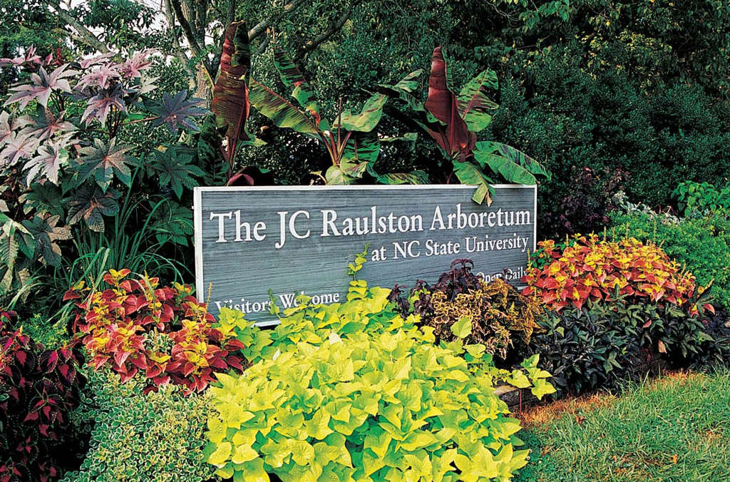 JC Raulston Arboretum at NC State University