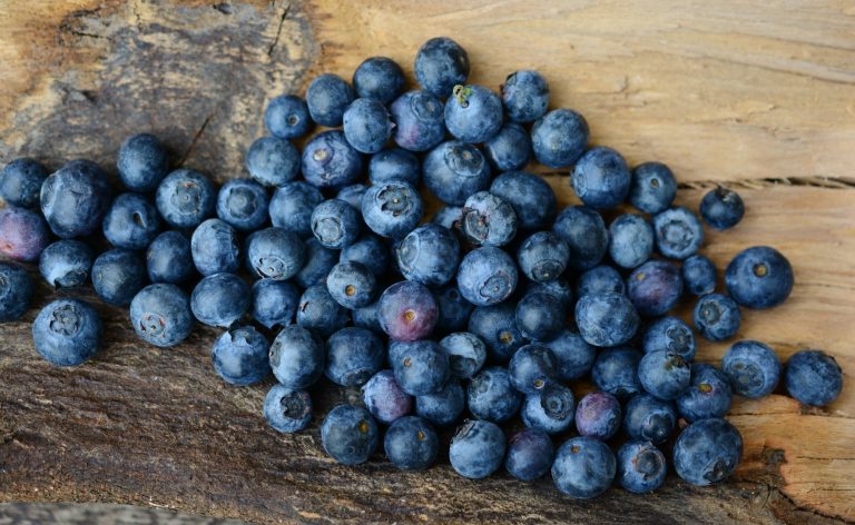 Eating blueberries can improve heart health