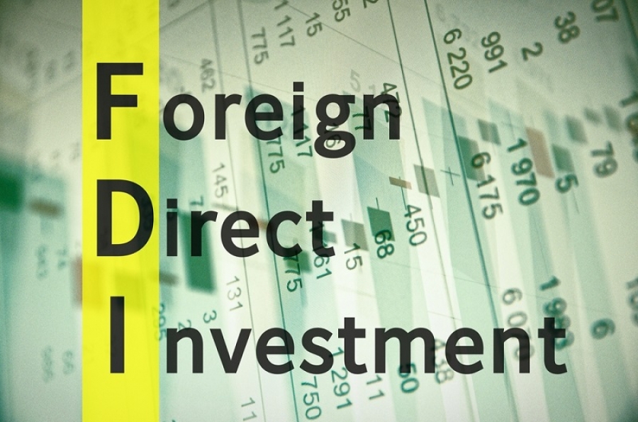 FDI flows to India grew 6% in 2018 to USD 42 bn: UN report