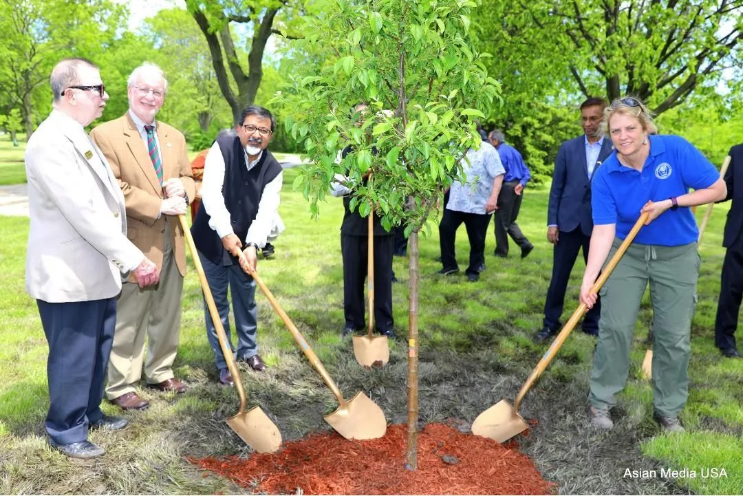 Gandhi Tree planting