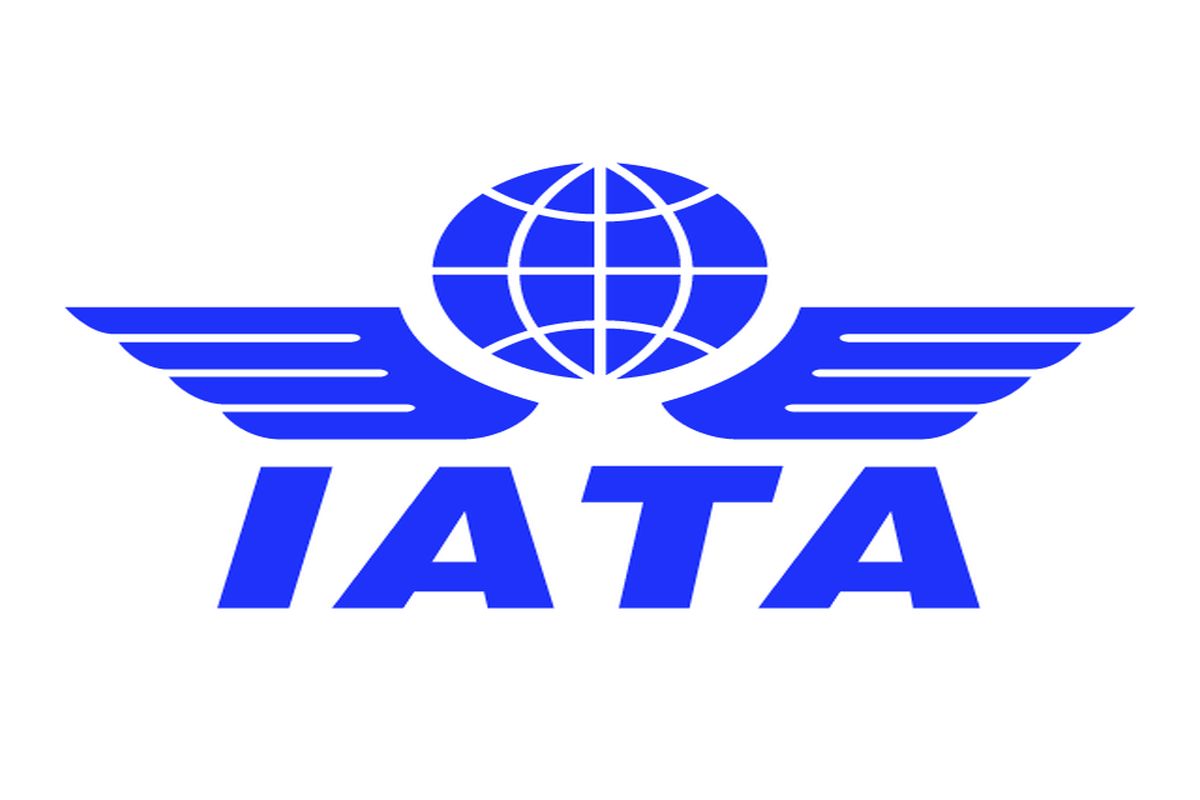 IATA lowers aviation sector's 2019 profit outlook
