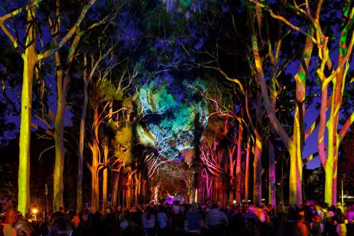 Light festival to celebrate diversity in Australia