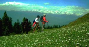 Chail A hikers quintessential paradise1