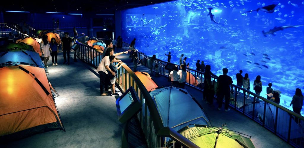 SEA Aquarium