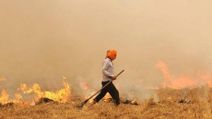 Avoid burning crop residue as its damages environment