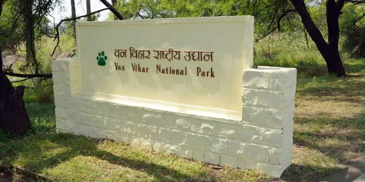 Oldest tigress in Bhopal's Van Vihar national park dies