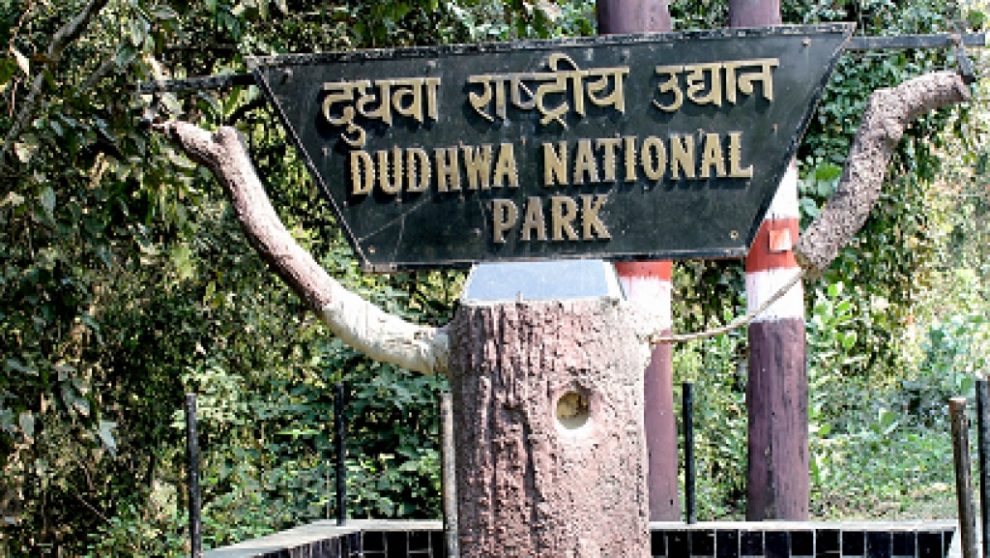 Tourists to fill up safety bond at Dudhwa National Park now