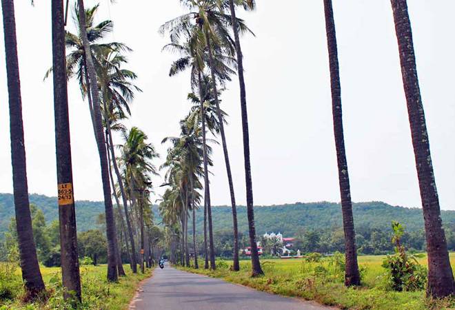 Goa village 'suspends' tourist photography tax