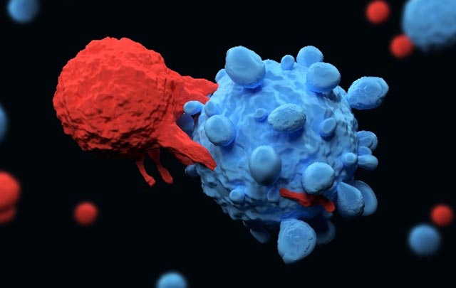 New T-cells kill all cancers without touching healthy cells