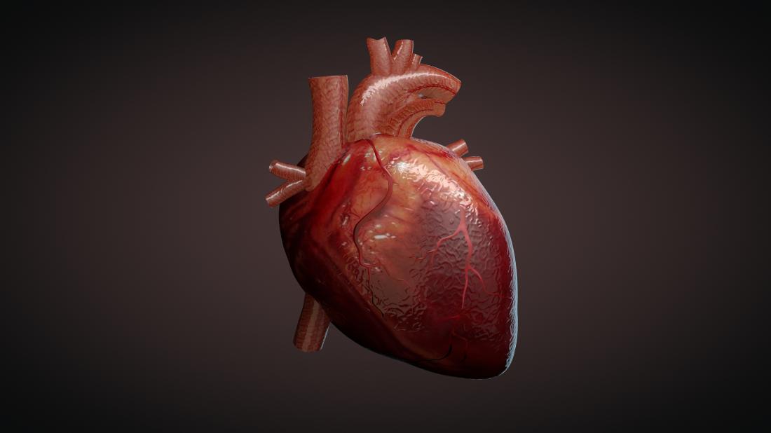 Immune cells play surprising role in heart Study