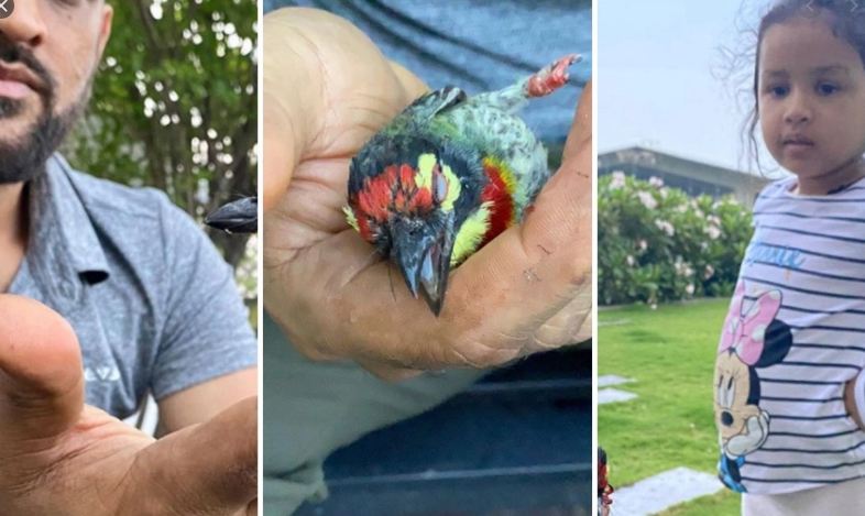 Bird's eye view: CSK posts pic of bird saved by Dhoni