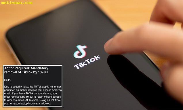 Amazon says delete TikTok email to employees 'sent in error'  