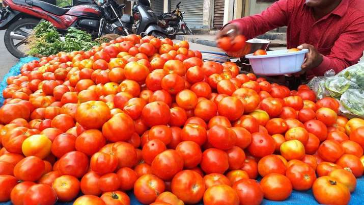 Sindh farmers protest against Imran Khan government over tomato import