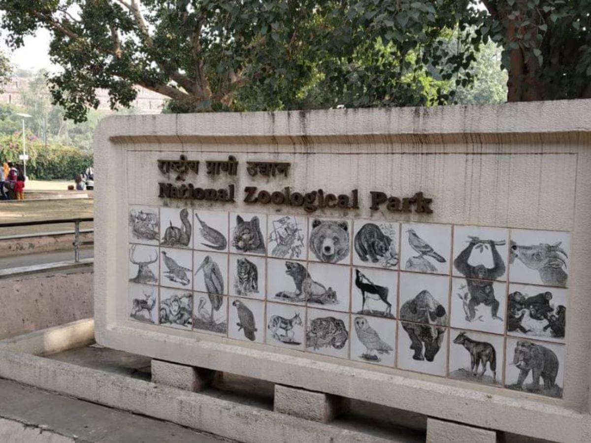 Delhi zoo sends samples of some animals for COVID-19 testing at IVRI Bareilly