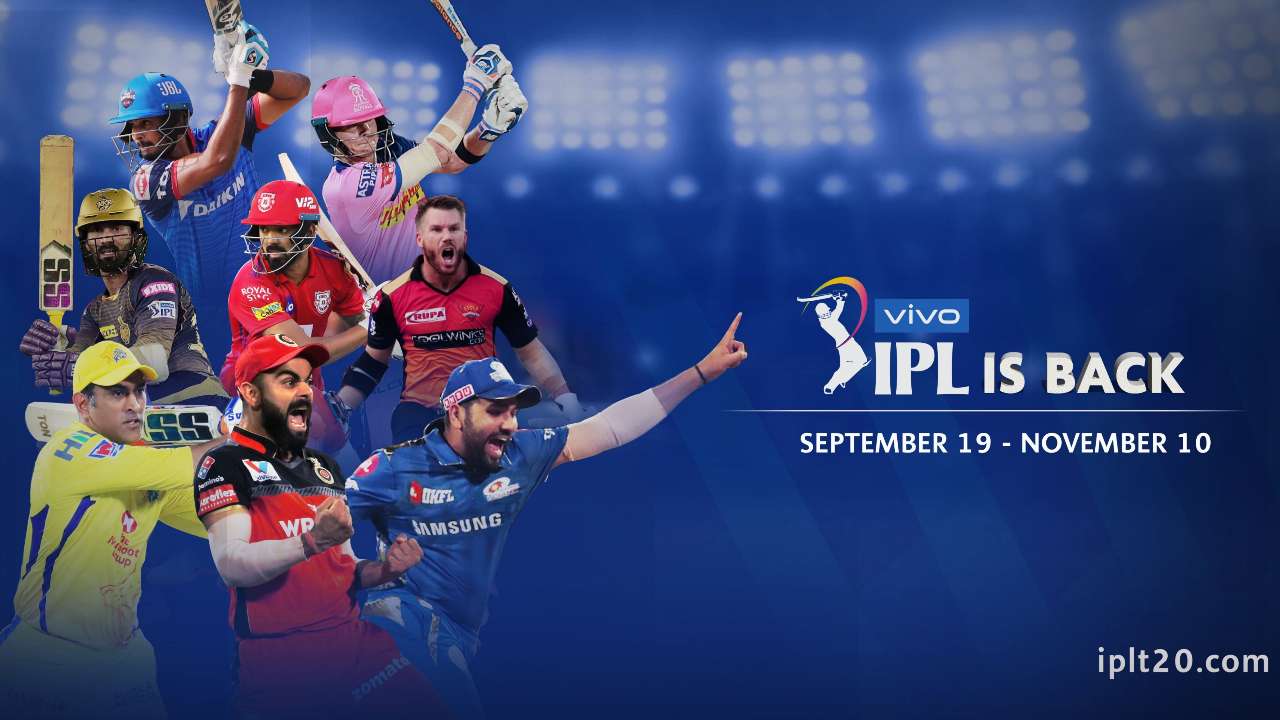 Make IPL exciting for you- things to explore along with the matches