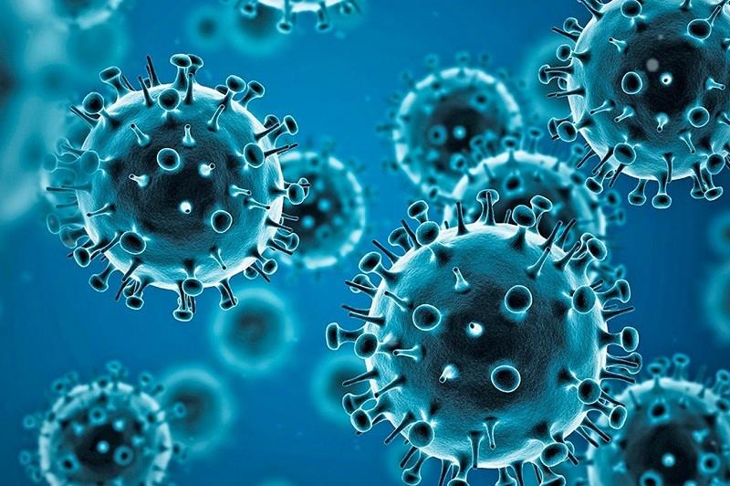 WHO establishes new group to study origins of coronavirus