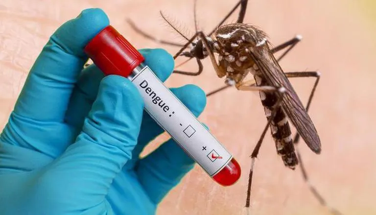SL health officials warn of major dengue outbreak
