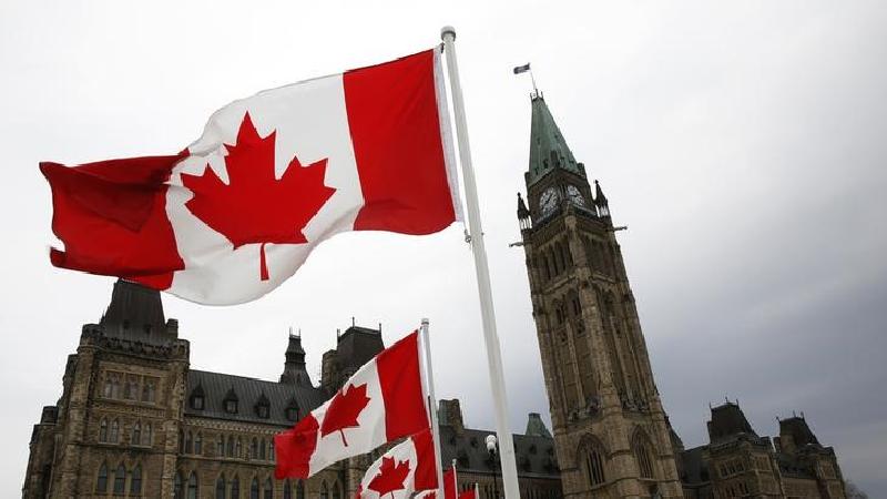 Report says Canada exploiting Indian students for 'cheap labour'
