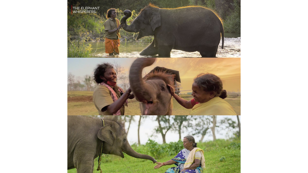 Oscar-winning 'Elephant Whisperers'