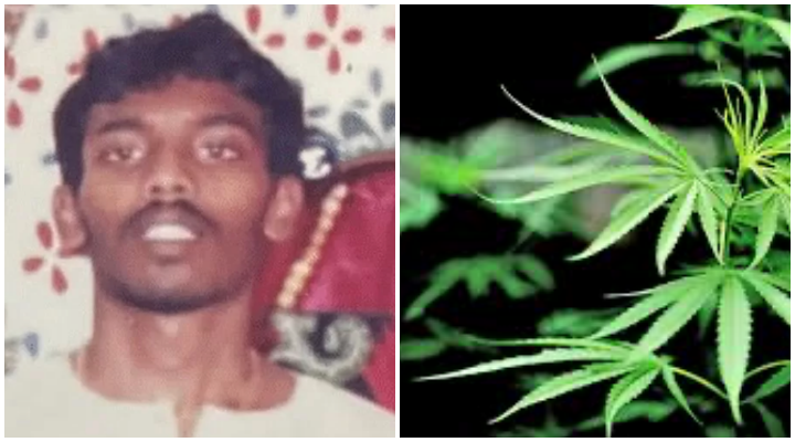 Singapore executes Tamil man over cannabis charge
