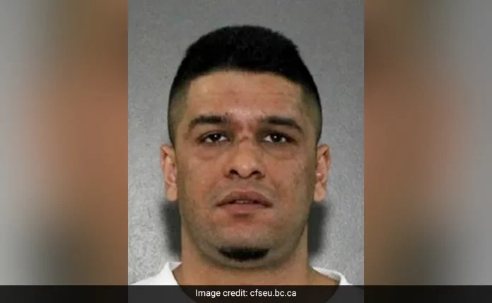 Punjab-origin gangster shot dead at wedding reception in Canada