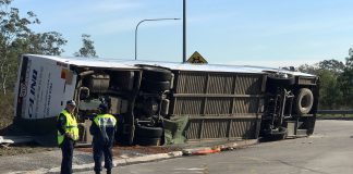 The scene of a bus crash in the NSW Hunter Valley, Australia