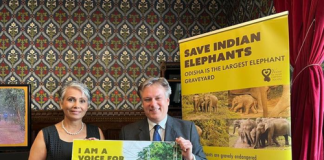 Indo-Canadian biologist takes up cudgels for Indian elephants in UK Parliament